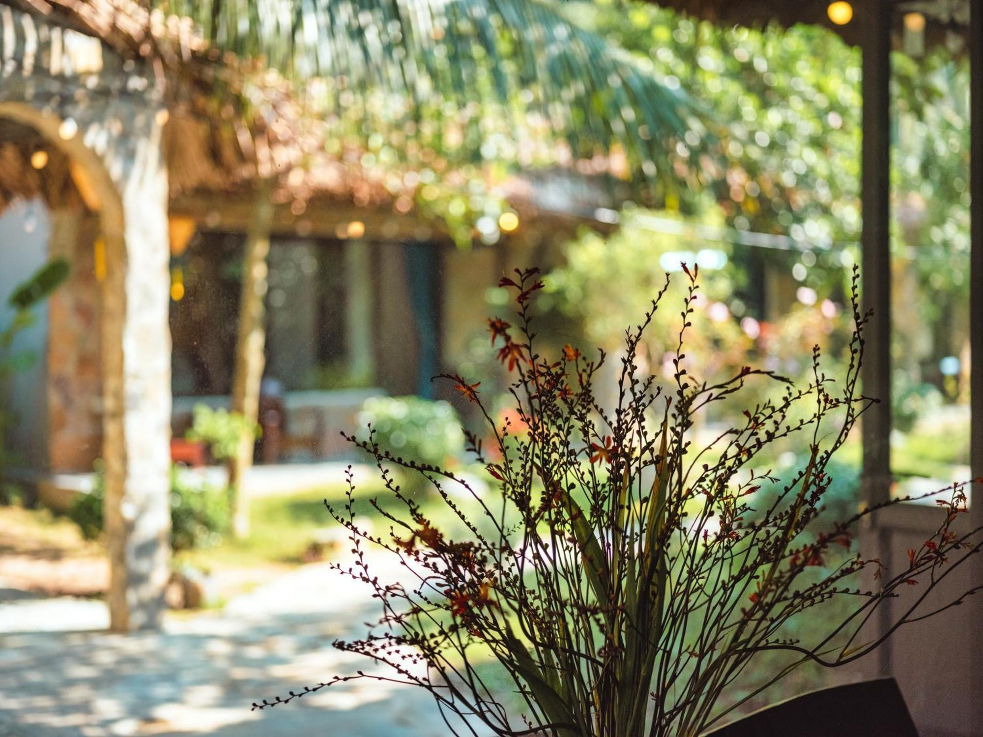 Cozy Beer Garden Homestay Ninh Binh Exterior photo